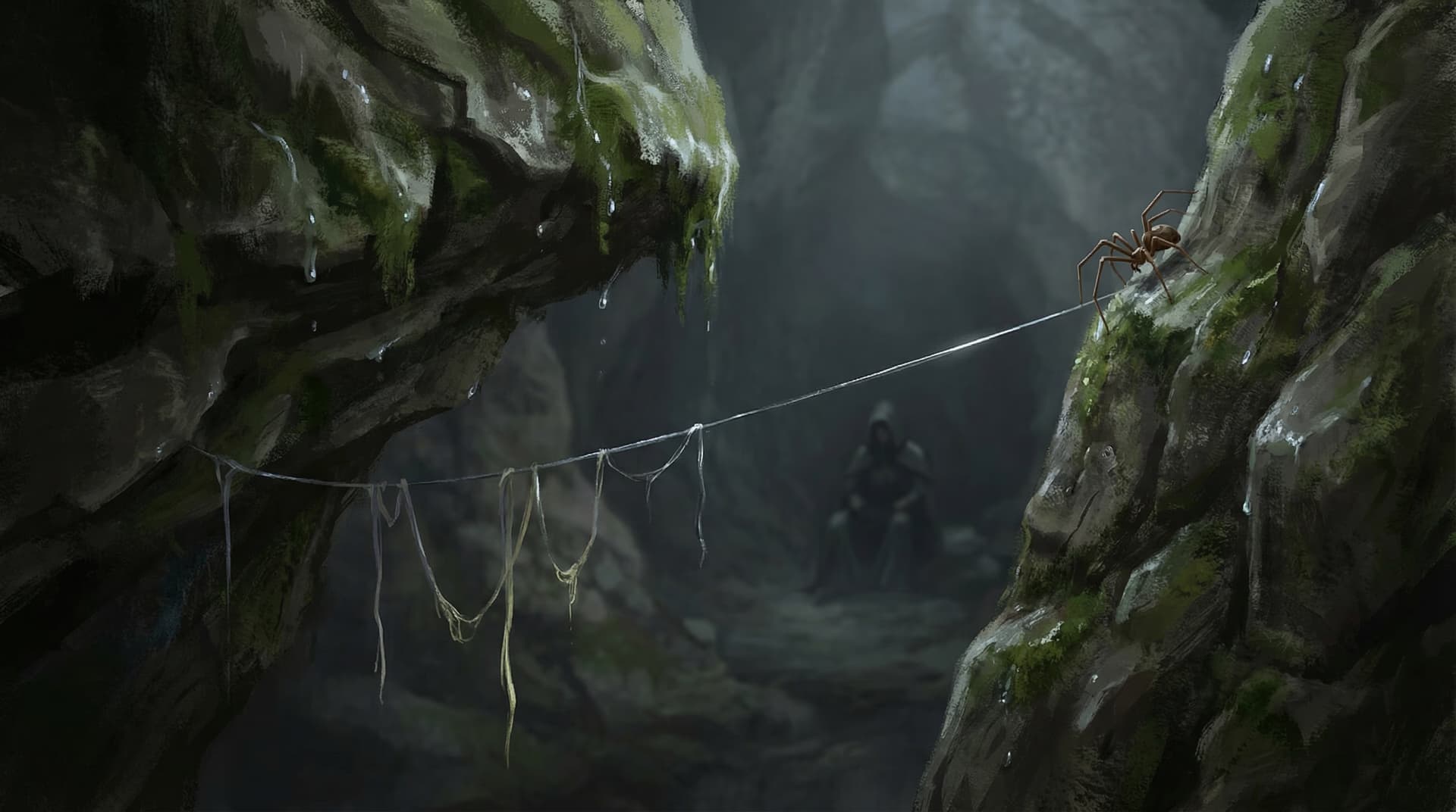 Robert Bruce watches a spider spin its web between cave rocks on Rathlin Island